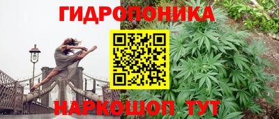 PSILOCYBIN Кунгур